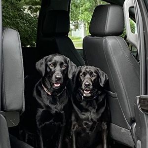 Meet your Posher, Treva